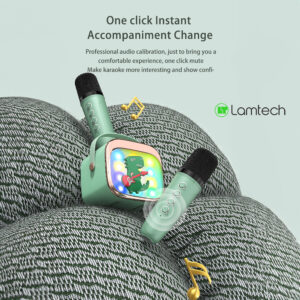 LAMTECH KARAOKE με Ασύρματο Μικρόφωνο Kroddy & Εφέ Φωτισμού LAM980213SN - Image 5